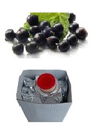 Pureé, pyré Černý rybíz 1,5kg