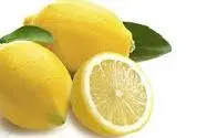 Točená zmrzlina Sorbet Citron 1,15kg