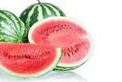 Točená zmrzlina Sorbet Vodní meloun 1,15kg