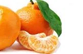 Točená zmrzlina Sorbet Mandarina 1,15kg