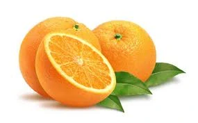 Točená zmrzlina Sorbet Pomeranč 1,15kg